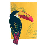 Toucan