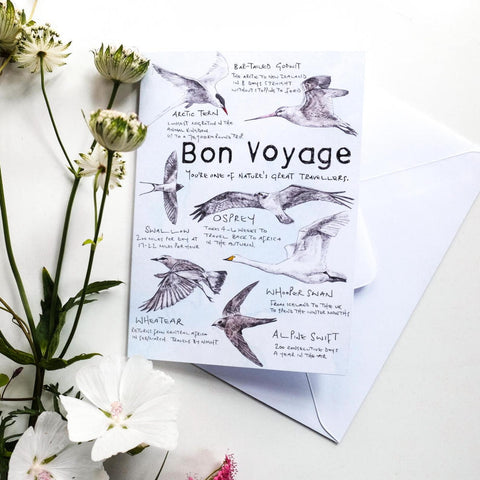 Bon Voyage Birds