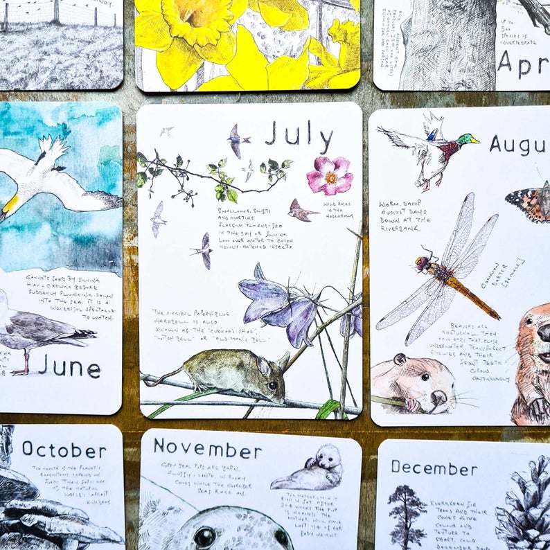 Wild Months Pack - 12 Wildlife Postcards