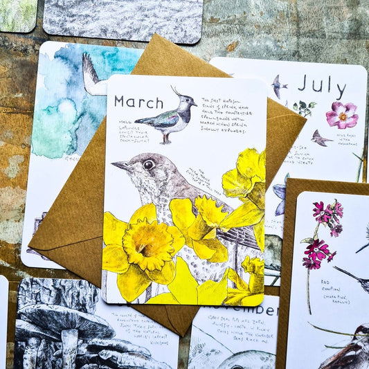 A postcard with rounded edges and kraft envelope featuring illustrations of a lapwing, thrush and daffodils for March by Hannah Longmuir.