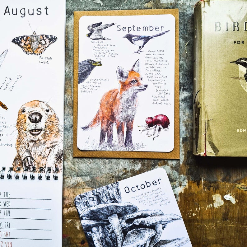 Wild Months Pack - 12 Wildlife Postcards