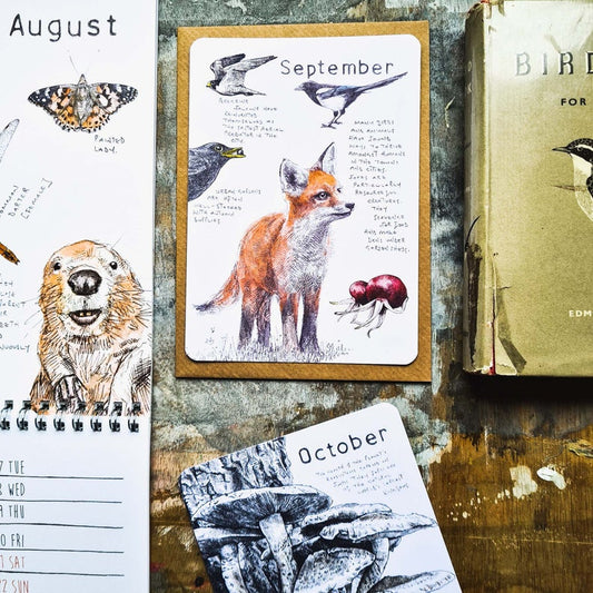 Wild Months Pack - 12 Wildlife Postcards