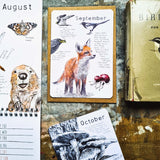 Wild Months Pack - 12 Wildlife Postcards