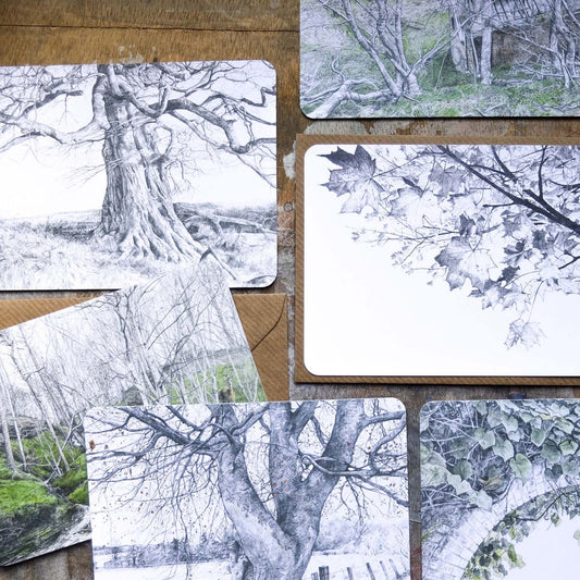 Postcard Pack - Into the Woods